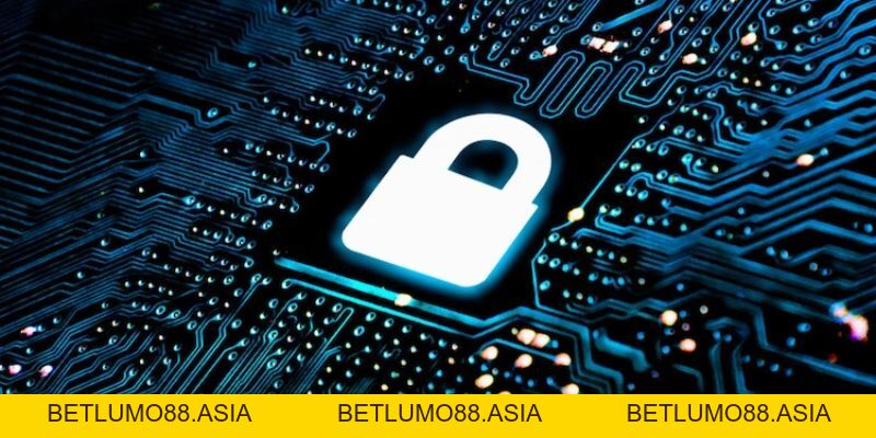 TX88 lừa đảo: Sự thật về sân chơi cá cược số 1 hiện nay - betlumo88.asia