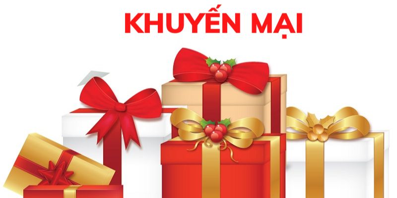Khuyến mãi TX88 - Cơ hội vàng để nhận quà hấp dẫn - betlumo88.asia