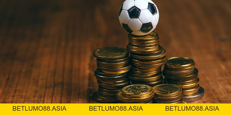 Cá cược thể thao TX88 - Tất tần tật những thông tin hữu ích - betlumo88.asia